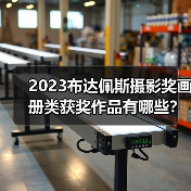 2023布达佩斯摄影奖画册类获奖作品有哪些？深度解析（图4）
