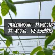 抗疫摄影展：共同的缘·共同的爱，见证无数感人瞬间（图3）