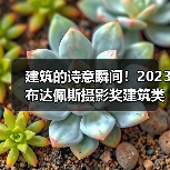 建筑的诗意瞬间！2023布达佩斯摄影奖建筑类获奖作品揭晓（图1）