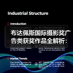 布达佩斯国际摄影奖广告类获奖作品全解析：谁的创意最惊艳？（图2）
