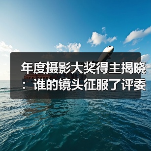 年度摄影大奖得主揭晓：谁的镜头征服了评委？（图4）