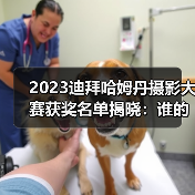 2023迪拜哈姆丹摄影大赛获奖名单揭晓：谁的作品夺冠？（图2）