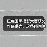 巴库国际摄影大赛获奖作品曝光:这些瞬间值得细品(图4) 巴库国际摄影大赛获奖作品曝光:这些瞬间值得细品(图4)