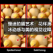 慢速拍摄艺术:花样滑冰动感与美的视觉诠释(图1) 慢速拍摄艺术:花样滑冰动感与美的视觉诠释(图1)