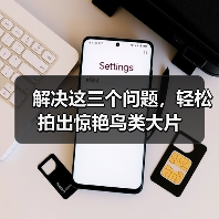 解决这三个问题,轻松拍出惊艳鸟类大片(图2) 解决这三个问题,轻松拍出惊艳鸟类大片(图2)