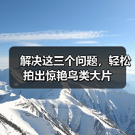 解决这三个问题,轻松拍出惊艳鸟类大片(图3) 解决这三个问题,轻松拍出惊艳鸟类大片(图3)