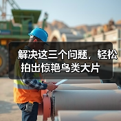 解决这三个问题,轻松拍出惊艳鸟类大片(图4) 解决这三个问题,轻松拍出惊艳鸟类大片(图4)