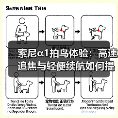 索尼α1拍鸟体验:高速追焦与轻便续航如何提升拍摄效率?(图2) 索尼α1拍鸟体验:高速追焦与轻便续航如何提升拍摄效率?(图2)