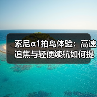 索尼α1拍鸟体验:高速追焦与轻便续航如何提升拍摄效率?(图4) 索尼α1拍鸟体验:高速追焦与轻便续航如何提升拍摄效率?(图4)