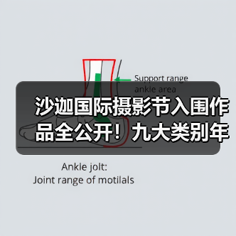 沙迦国际摄影节入围作品全公开!九大类别年度最佳获奖名单揭晓(图3) 沙迦国际摄影节入围作品全公开!九大类别年度最佳获奖名单揭晓(图3)