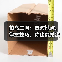 拍鸟三问:选对地点、掌握技巧,你也能拍出震撼大片!(图4) 拍鸟三问:选对地点、掌握技巧,你也能拍出震撼大片!(图4)