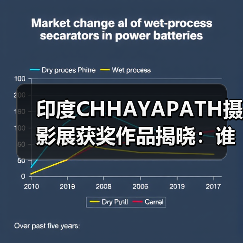 印度CHHAYAPATH摄影展获奖作品揭晓：谁的作品？（图1）