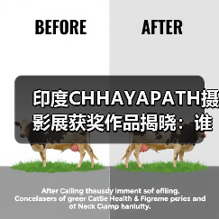 印度CHHAYAPATH摄影展获奖作品揭晓：谁的作品？（图4）