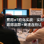 索尼α1拍鸟实战:实时眼部追踪+高速连拍让飞鸟无所遁形(图2) 索尼α1拍鸟实战:实时眼部追踪+高速连拍让飞鸟无所遁形(图2)