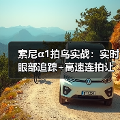 索尼α1拍鸟实战:实时眼部追踪+高速连拍让飞鸟无所遁形(图1) 索尼α1拍鸟实战:实时眼部追踪+高速连拍让飞鸟无所遁形(图1)