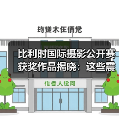 比利时国际摄影公开赛获奖作品揭晓:这些震撼瞬间如何夺冠?(图2) 比利时国际摄影公开赛获奖作品揭晓:这些震撼瞬间如何夺冠?(图2)