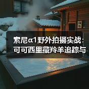 索尼α1野外拍摄实战:可可西里藏羚羊追踪与高像素解析(图2) 索尼α1野外拍摄实战:可可西里藏羚羊追踪与高像素解析(图2)