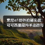 索尼α1野外拍摄实战:可可西里藏羚羊追踪与高像素解析(图1) 索尼α1野外拍摄实战:可可西里藏羚羊追踪与高像素解析(图1)
