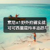 索尼α1野外拍摄实战:可可西里藏羚羊追踪与高像素解析(图3) 索尼α1野外拍摄实战:可可西里藏羚羊追踪与高像素解析(图3)