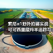 索尼α1野外拍摄实战:可可西里藏羚羊追踪与高像素解析(图4) 索尼α1野外拍摄实战:可可西里藏羚羊追踪与高像素解析(图4)