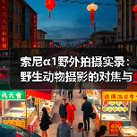 索尼α1野外拍摄实录:野生动物摄影的对焦与细节挑战(图4) 索尼α1野外拍摄实录:野生动物摄影的对焦与细节挑战(图4)