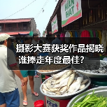 摄影大赛获奖作品揭晓 谁捧走年度最佳？（图1）