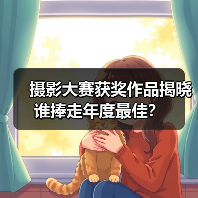 摄影大赛获奖作品揭晓 谁捧走年度最佳？（图2）
