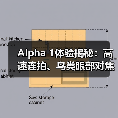 Alpha 1体验揭秘:高速连拍、鸟类眼部对焦与超广角镜头(图4) Alpha 1体验揭秘:高速连拍、鸟类眼部对焦与超广角镜头(图4)