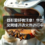摄影爱好者注意!华龙奖网络评选火热进行中,快来投票吧!(图3) 摄影爱好者注意!华龙奖网络评选火热进行中,快来投票吧!(图3)