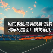 厦门极危鸟类现身 黄胸鹀罕见露面!腾龙镜头新品发布(图3) 厦门极危鸟类现身 黄胸鹀罕见露面!腾龙镜头新品发布(图3)