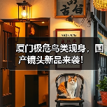厦门极危鸟类现身,国产镜头新品来袭!(图2) 厦门极危鸟类现身,国产镜头新品来袭!(图2)