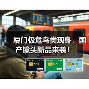 厦门极危鸟类现身,国产镜头新品来袭!(图4) 厦门极危鸟类现身,国产镜头新品来袭!(图4)