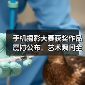 手机摄影大赛获奖作品震撼公布,艺术瞬间全球共赏(图4) 手机摄影大赛获奖作品震撼公布,艺术瞬间全球共赏(图4)