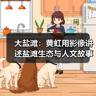 大盐滩:黄虹用影像讲述盐滩生态与人文故事(图3) 大盐滩:黄虹用影像讲述盐滩生态与人文故事(图3)