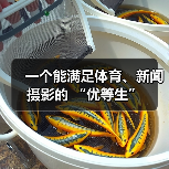 一个能满足体育、新闻摄影的 “优等生”(图1) 一个能满足体育、新闻摄影的 “优等生”(图1)