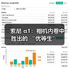 索尼 α1:相机内卷中胜出的 “优等生”(图1) 索尼 α1:相机内卷中胜出的 “优等生”(图1)