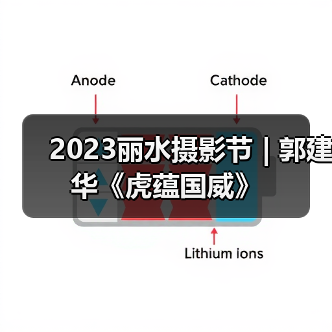 2023丽水摄影节 | 郭建华《虎蕴国威》(图1) 2023丽水摄影节 | 郭建华《虎蕴国威》(图1)