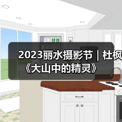 2023丽水摄影节 | 杜枫《大山中的精灵》（图2）