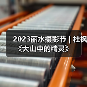 2023丽水摄影节 | 杜枫《大山中的精灵》（图4）