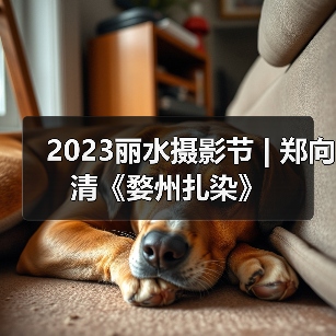 2023丽水摄影节 | 郑向清《婺州扎染》（图3）