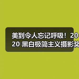 美到令人忘记呼吸！2020 黑白极简主义摄影奖得主揭晓（图2）