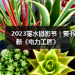 2023丽水摄影节 | 贾书新《电力工匠》（图1）