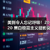美到令人忘记呼吸！2020 黑白极简主义摄影奖得主揭晓（图4）