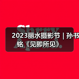2023丽水摄影节 | 孙书铭《见即所见》（图4）