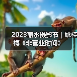 2023丽水摄影节 | 姚桂梅《非营业时间》（图2）