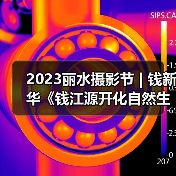 2023丽水摄影节 | 钱新华《钱江源开化自然生物微观情趣》（图1）