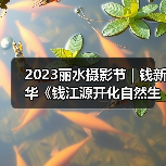 2023丽水摄影节 | 钱新华《钱江源开化自然生物微观情趣》（图3）
