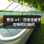 索尼 α1:百变全能手,定格精彩瞬间(图1) 索尼 α1:百变全能手,定格精彩瞬间(图1)