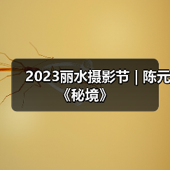2023丽水摄影节 | 陈元《秘境》（图4）