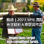 揭晓 | 2023 SPIE 国际光学摄影大赛获奖作品公布（图4）
